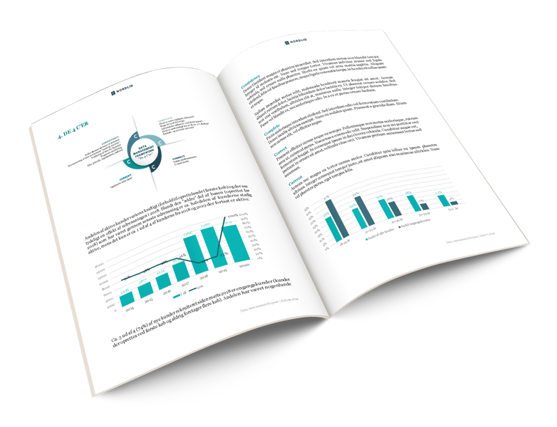 Customer Data Assesment